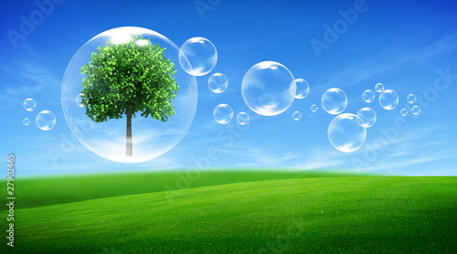 Illustration: Tree in a bubble Tree in a bubble