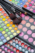 Professional makeup palette and brushes Professional makeup palette and brushes