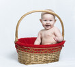 Smiling baby sitting in red and gold Christmas basket