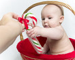 Baby in Christmas basket reaching for candy cane
