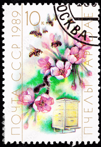 Photo: Soviet Stamp Cherry Blossom Bee Hive Cultivation Pollination Soviet Stamp Cherry Blossom Bee Hive Cultivation Pollination