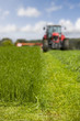 Tractor cutting silage in farm field