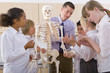 School children listening to biology teacher explain human skeleton