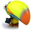 Toucan Toucan