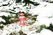 red lantern in snowed forest