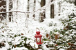 red lantern in snowed forest