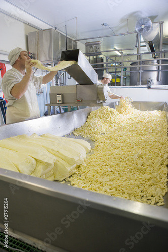 Foto: Cheese maker grating farmhouse cheddar with machine Cheese maker grating farmhouse cheddar with machine