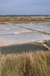 marais salants à Guérande
