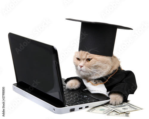Photo: Red cat sitting on the notebook, Christmas, New Year Red cat sitting on the notebook, Christmas, New Year