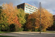 Lille_automne