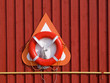 Life buoy / Life Preserver / Life ring / Life belt