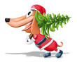 Cane Babbo Natale con abete