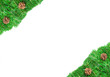 Christmas green framework with Pine needles and cones isolated Christmas green framework with Pine needles and cones isolated