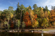 Foto: Trees by a lake during autumn in Sweden Trees by a lake during autumn in Sweden