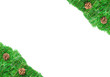 Christmas green framework with Pine needles and cones isolated Christmas green framework with Pine needles and cones isolated