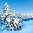 Snowy landscape