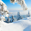 Winter snowy landscape