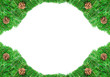 Christmas green framework with Pine needles and cones isolated Christmas green framework with Pine needles and cones isolated