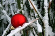 Weihnachtsdeko im Gras