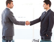 Serious businessmen shaking their hands after a meeting