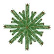 Weihnachtsstern