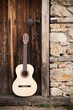 Vintage Guitars