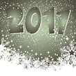 2011 2011