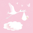 Baby newborn and stork