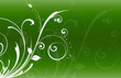 abstract flower Illustration vector spring summer
