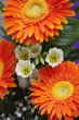 Foto: Bouquet of flowers Bouquet of flowers