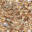 Wood shavings - seamless texture
