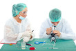 Young scientists working in laboratory Young scientists working in laboratory