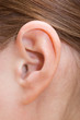 Closeup of a human ear Closeup of a human ear