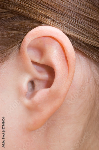 Photo: Closeup of a human ear Closeup of a human ear