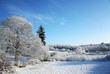 Winter snow scene with trees