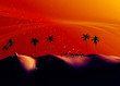 Desert