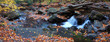 creek closeup with yellow maple trees panorama