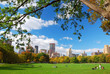 New York City Central Park with cloud and blue sky New York City Central Park with cloud and blue sky