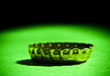 beer cap closeup on green beer cap closeup on green