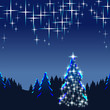 Weihnachten, Tannenbaum, Sternenhimmel, Weihnachtskarte, hoch