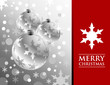 Silver Christmas Balls with Snowflakes Silver Christmas Balls with Snowflakes
