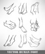Set of human foot. Vector