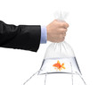Hand holding a golden fish in a bag with holes