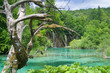 Nationalpark Plitvicer Seen Nationalpark Plitvicer Seen