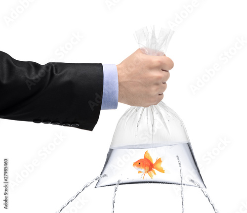 Photo: Hand holding a golden fish in a bag with holes Hand holding a golden fish in a bag with holes