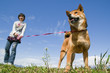 愛犬と散歩