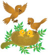 Birds and nestlings in the nest