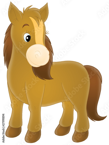 Illustration: Pony Pony