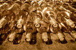 wine bottles