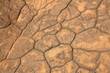 pattern of cracked seamless rock texture